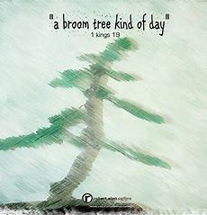 broom tree