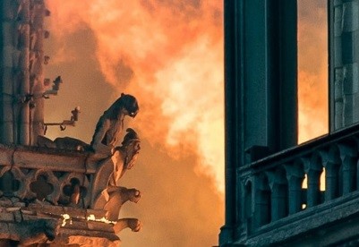 Notre Dame Gargoyles