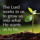 The Lord Works