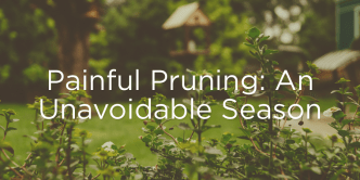 pruning